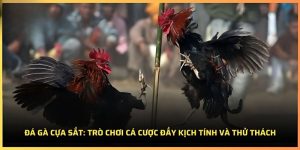 da-ga-cua-sat