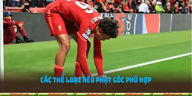 Danh sách các kèo cược phạt góc hot đình đám