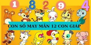 so-mo-12-con-giap