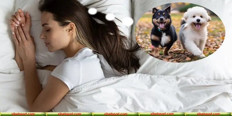sổ mơ các con vật