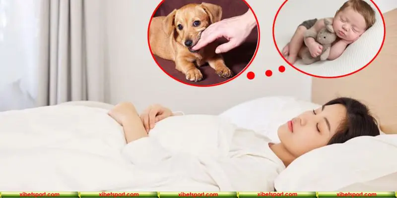 Tìm hiểu thế nào là sổ mơ các con vật