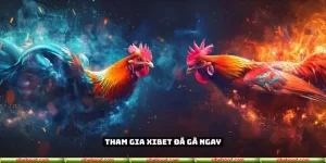 Xibet đá gà